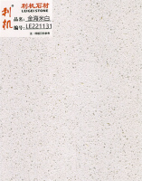 LE221131