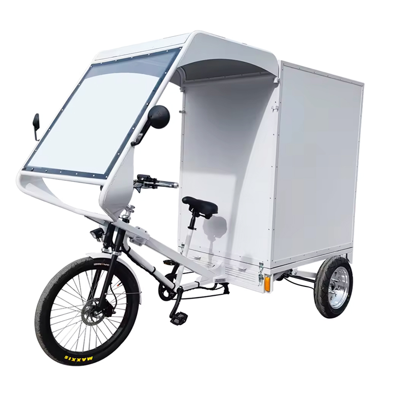 Xuzhou Kolawo Import & Export Trade Co., Ltd-Adult Tricycles