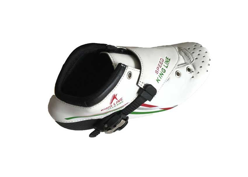 SDX21