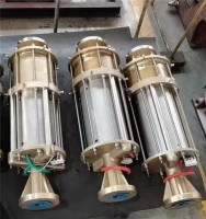 LNGsubmersiblepump