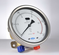 PressureLevelGauge
