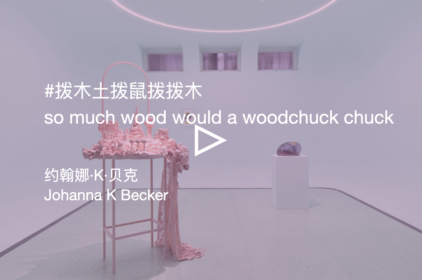 2023.12.16-2024.02.19