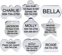 61bKYoGx-qL._AC_SL1000_