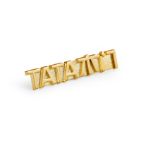 TATA木门金