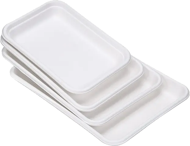 甘蔗浆餐具生产设备