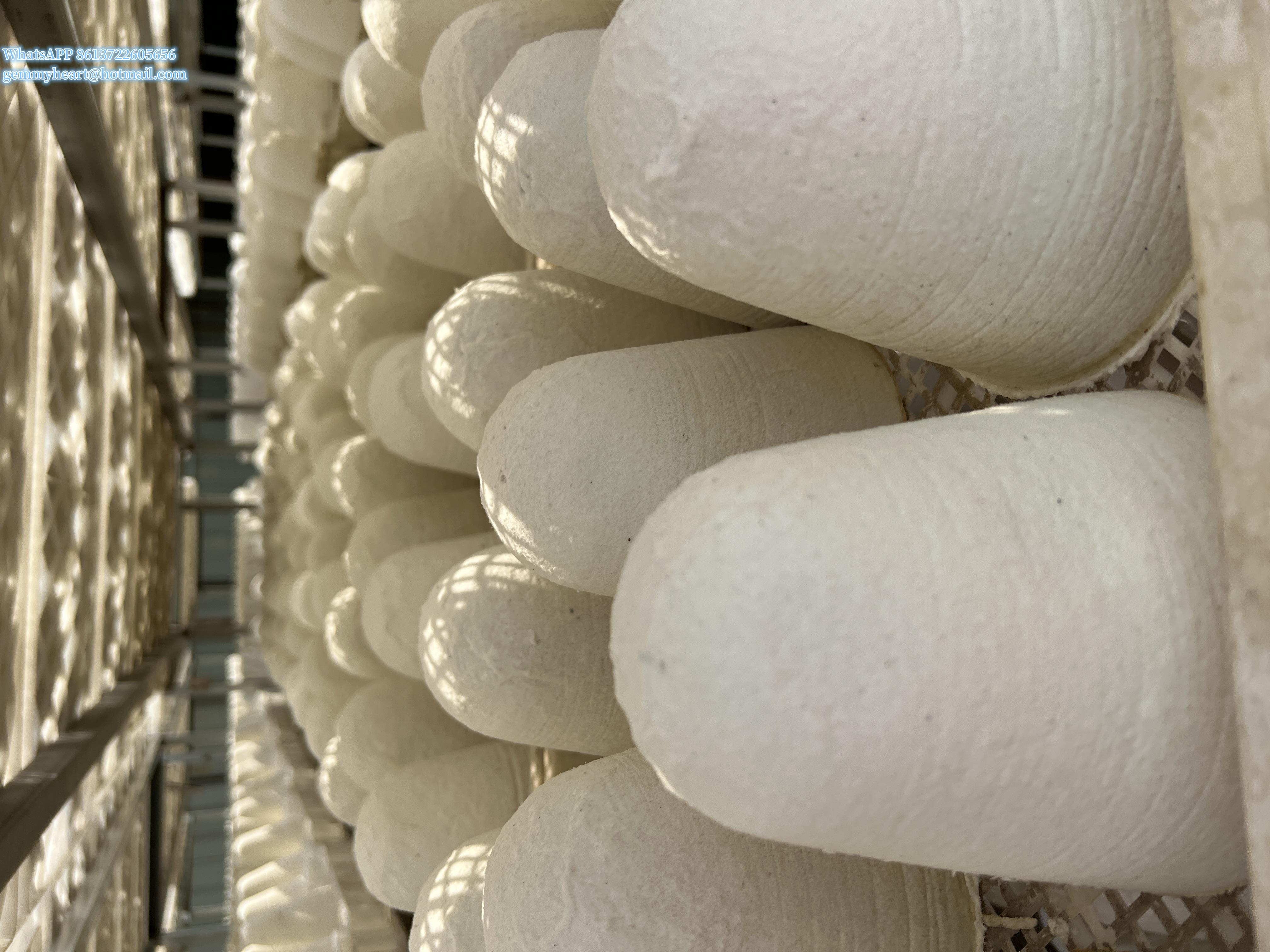 陶瓷纤维帽陶瓷纤维件2147