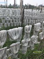 石棉线无尘石棉线11941645534564_.pic_hd