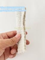 蝌蚪带2022_副本