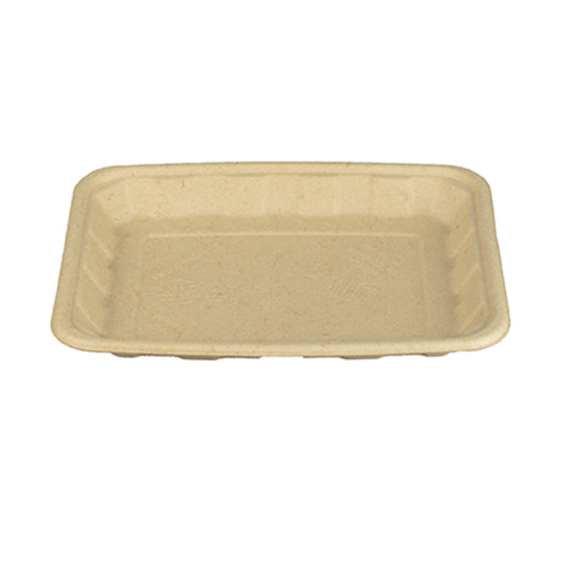 Bagasse-Tray-14
