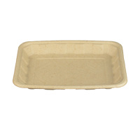 Bagasse-Tray-14