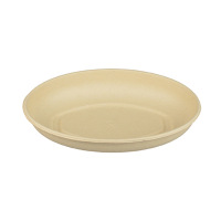 Bagasse-Tray-15