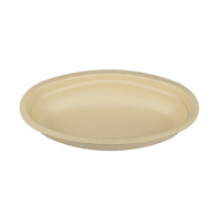 Bagasse-Tray-16