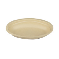 Bagasse-Tray-17