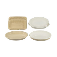 Bagasse-Tray-18