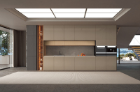 天进质感膜D6295-001-ZFQ2406-925