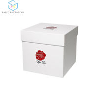 paperbox5005-23