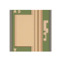 1.25CHIP