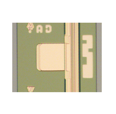 10Gchip