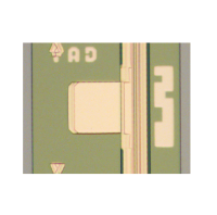 10Gchip