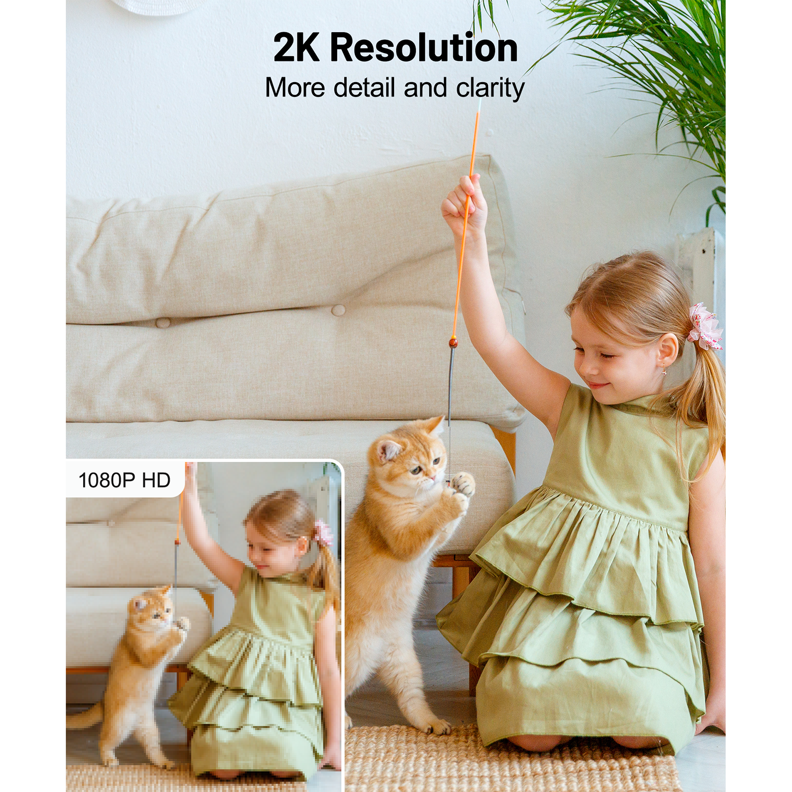 G2上新-1600x1600-画板3