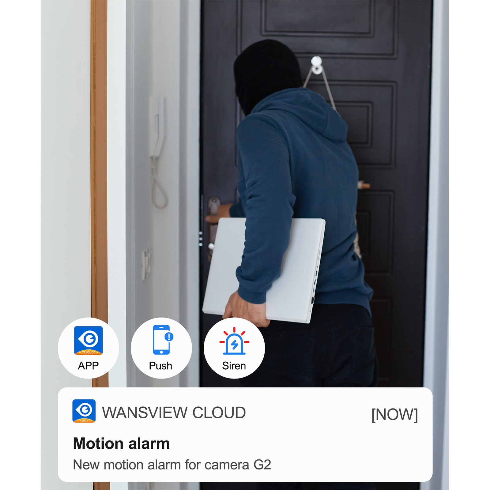 G2上新-1600x1600-画板4