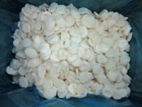 Frozenwaterchestnutssliced