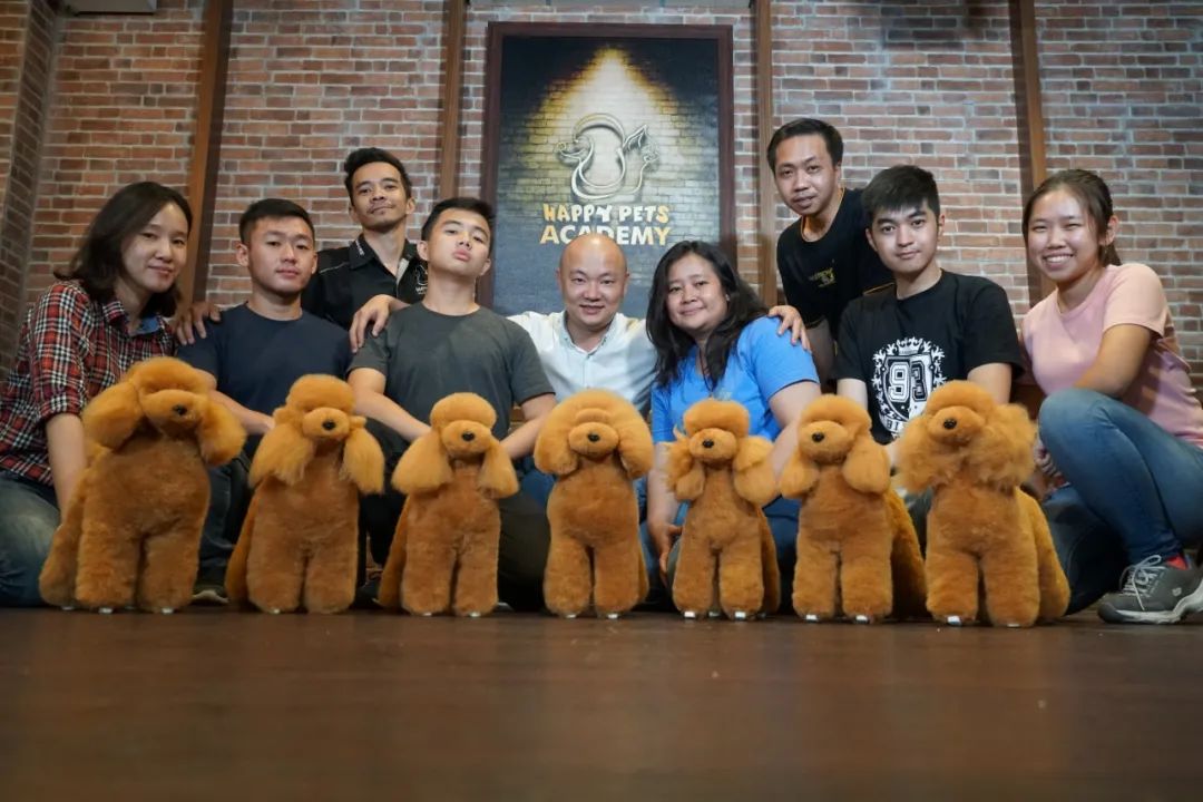 会员学校丨欢迎武汉无界时尚宠物造型培训学校加入世界宠物协会！
