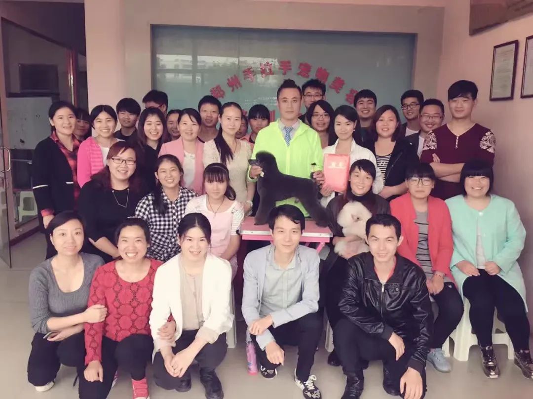 会员学校丨欢迎鼎峰宠物美容培训学校加入世界宠物协会！