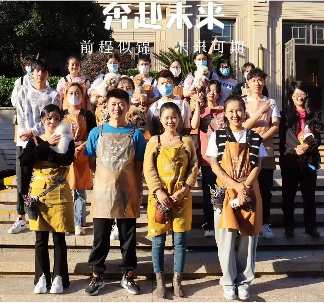 会员学校丨欢迎热带马宠物美容培训学校加入世界宠物协会！