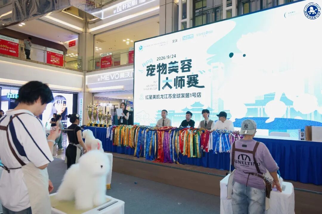 赛事回顾|9.24WPA国际宠物美容大师赛南京站 图3