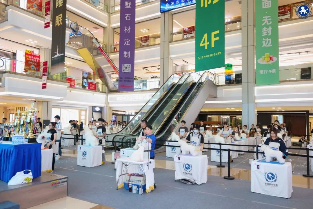 赛事回顾|9.24WPA国际宠物美容大师赛南京站 图7