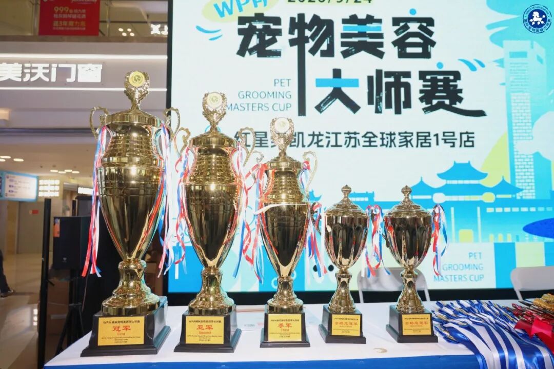 赛事回顾|9.24WPA国际宠物美容大师赛南京站 图2