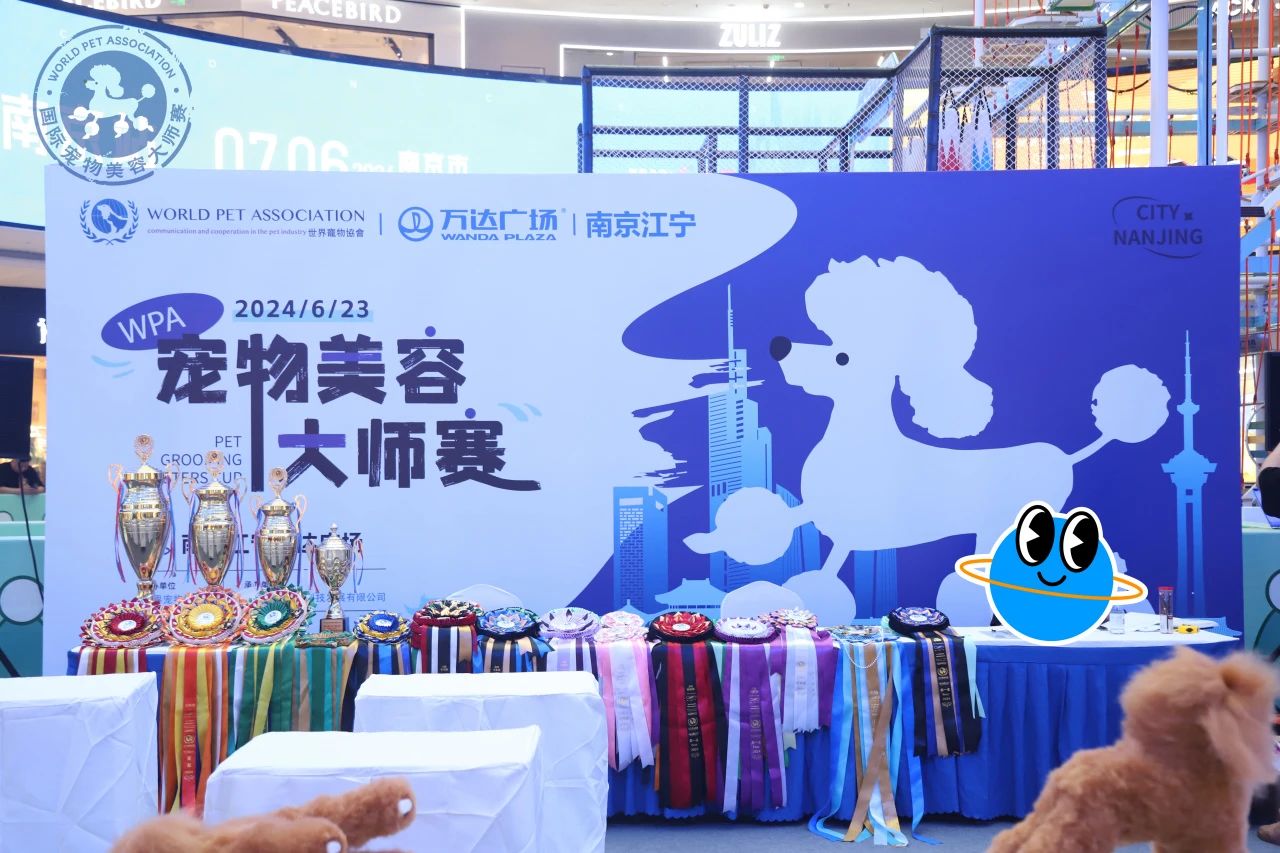 赛事回顾丨6.23WPA国际宠物美容大师赛南京站 图1