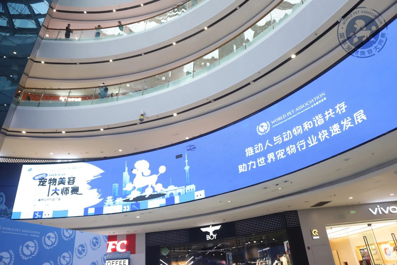 赛事回顾丨6.23WPA国际宠物美容大师赛南京站 图4