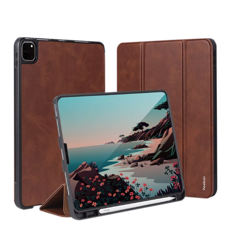 iPad Case
