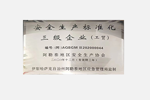 安全生產標準化三級企業