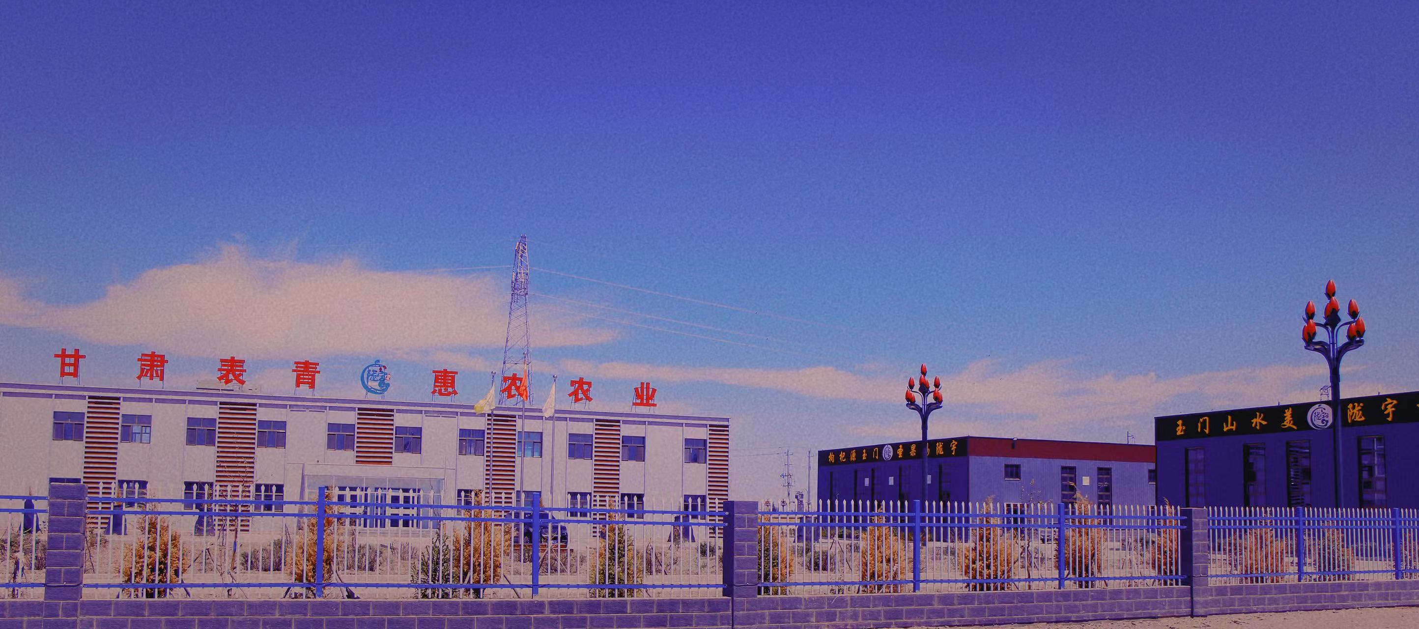 甘肃表青惠农农业有限公司