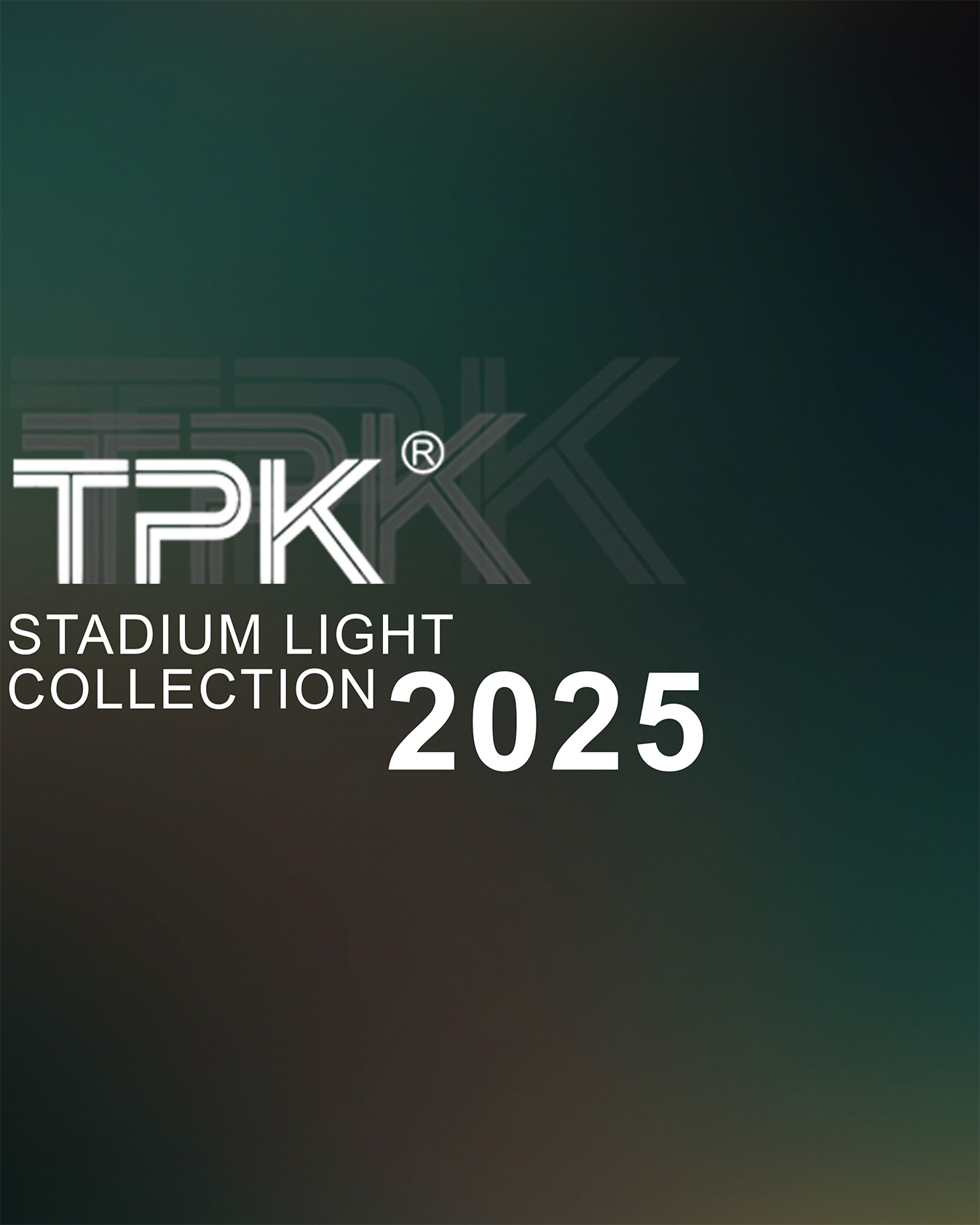 2025-2026 stadium lighting project cases PDF