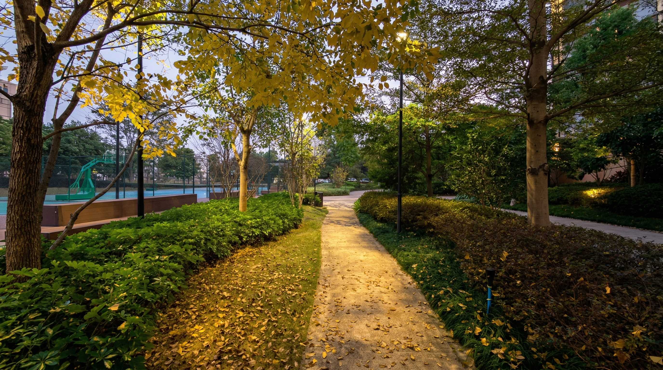 LED landscape mood lighting for hotel garden & pathway project thumb 5