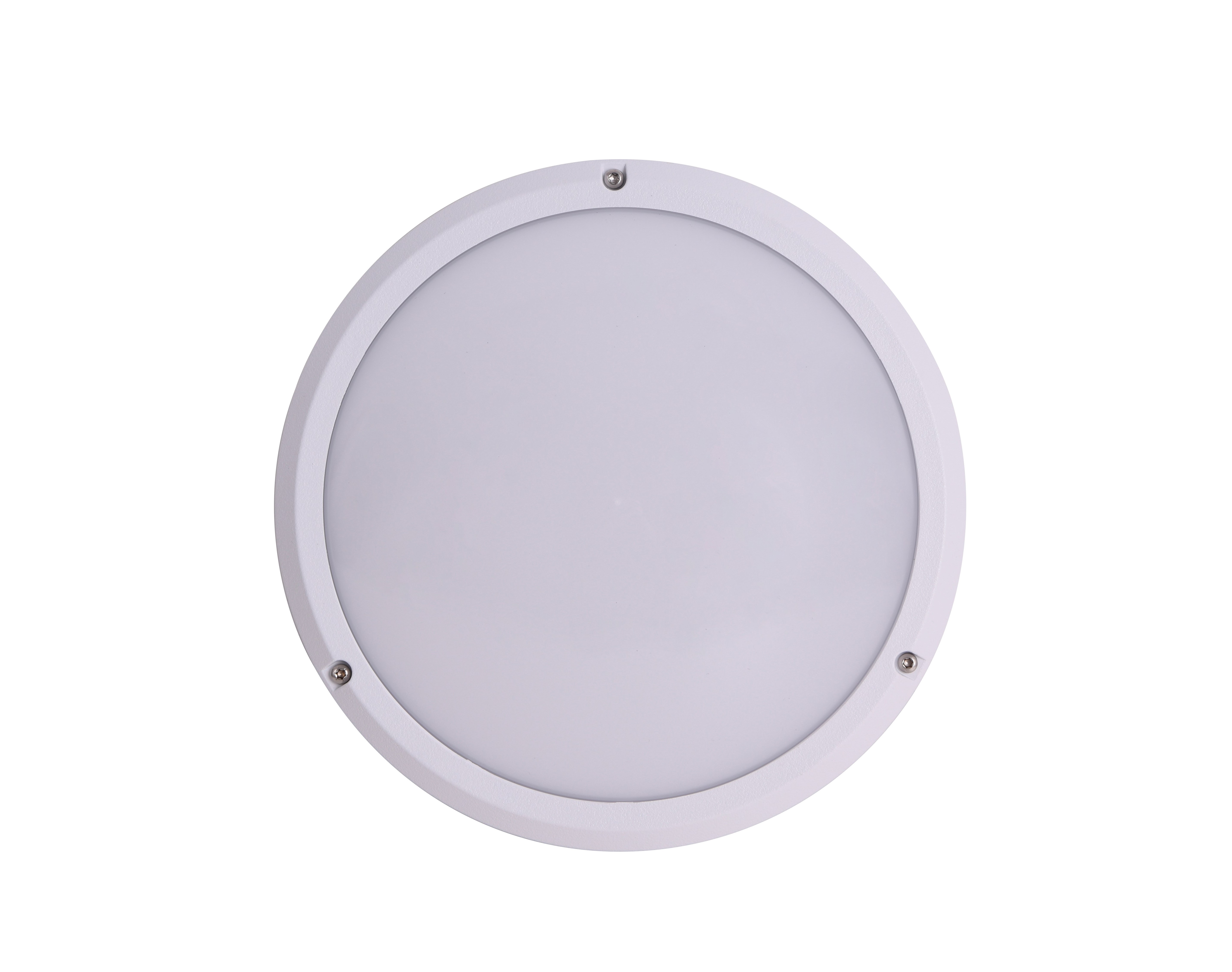 2-B02_WIXB02_SMALL_WHITE_02