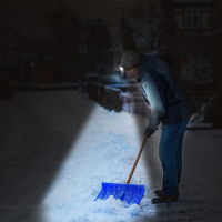 shutterstock_497410603