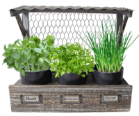 woodenplanterwithbiopot