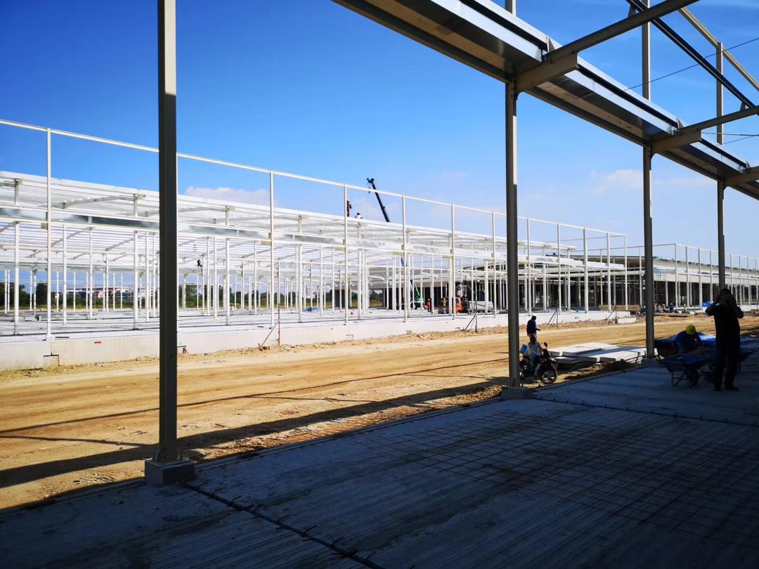 With low cost, easy set up a chicken farm, grow your business