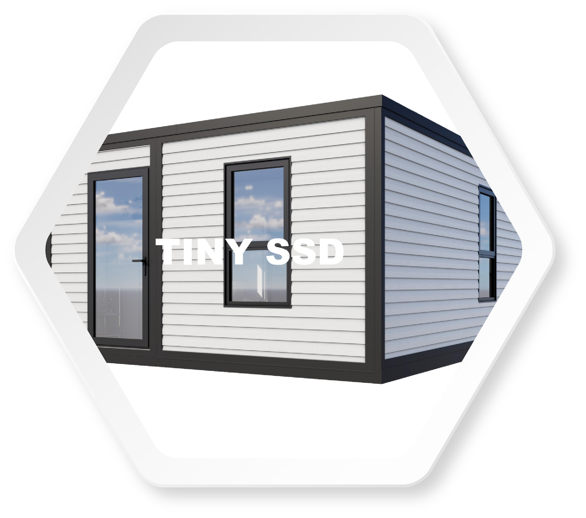 TINY SSD