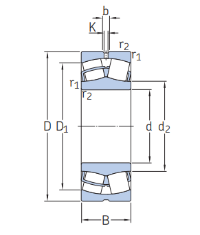 SKF Cylindricalbore