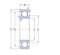 skf 1