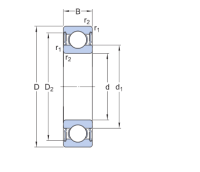 skf 2rs