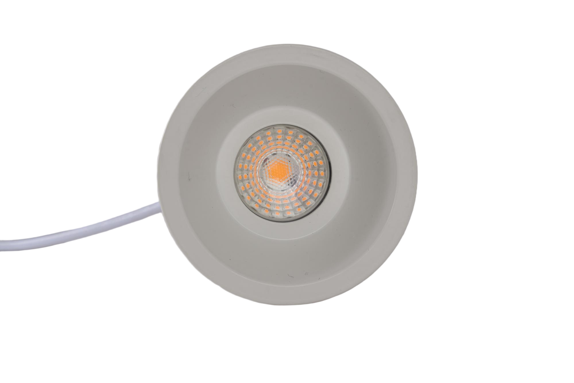 0T5A5622