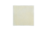 Sequa®SanChitosanWoundDressing 3