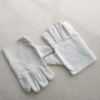 Canvasglove-29